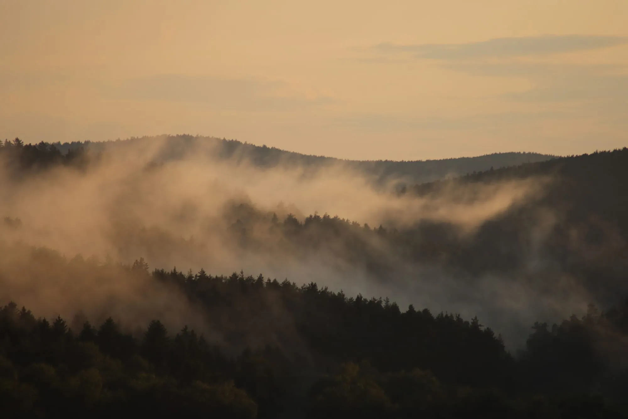 Nebel zieht im Morgenlicht über bewaldete Hügel