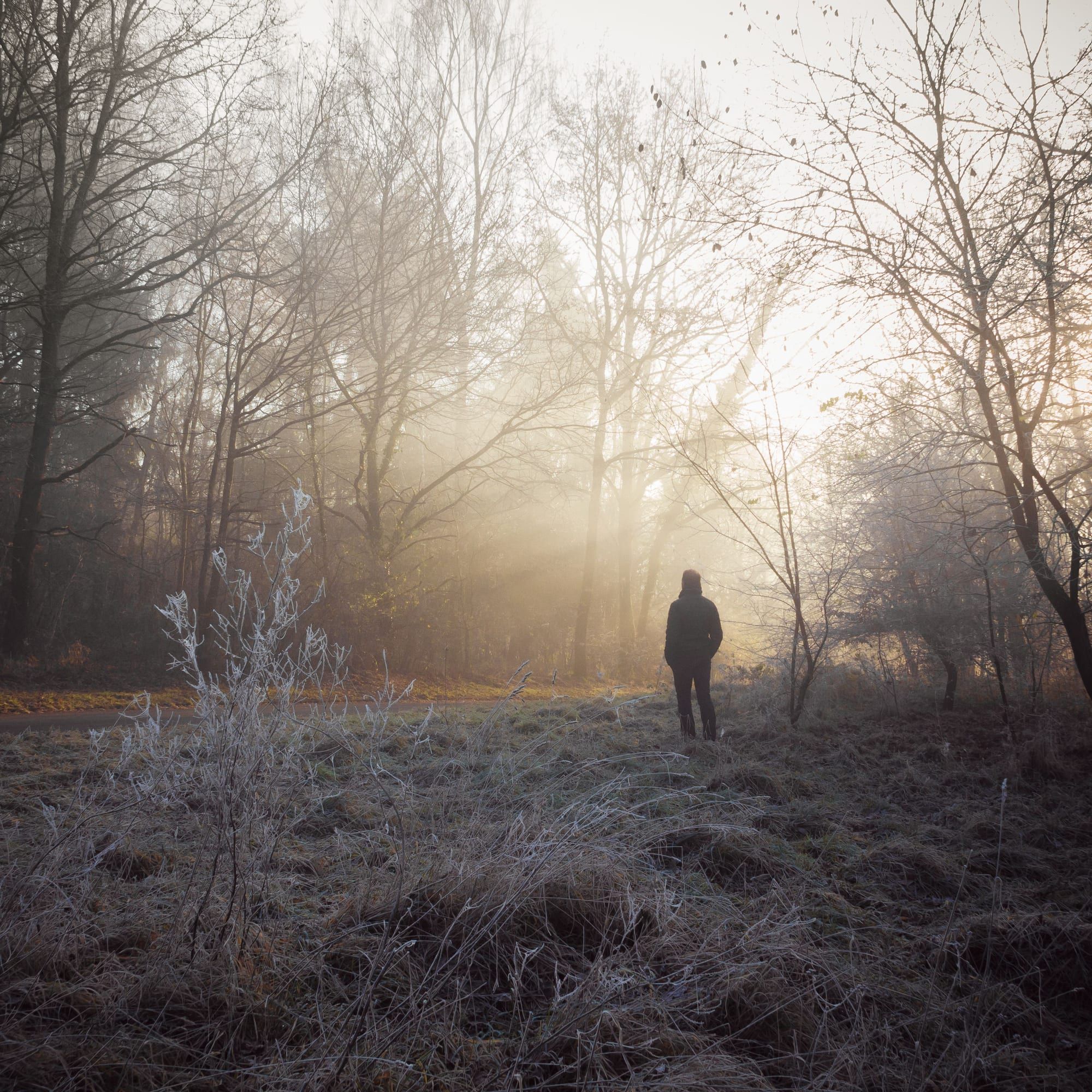 Ein Mensch steht allein in einem nebligen, frostigen Wald, durch den Licht fällt